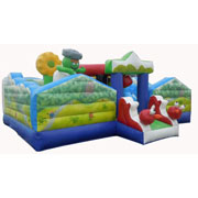 bouncer inflatable